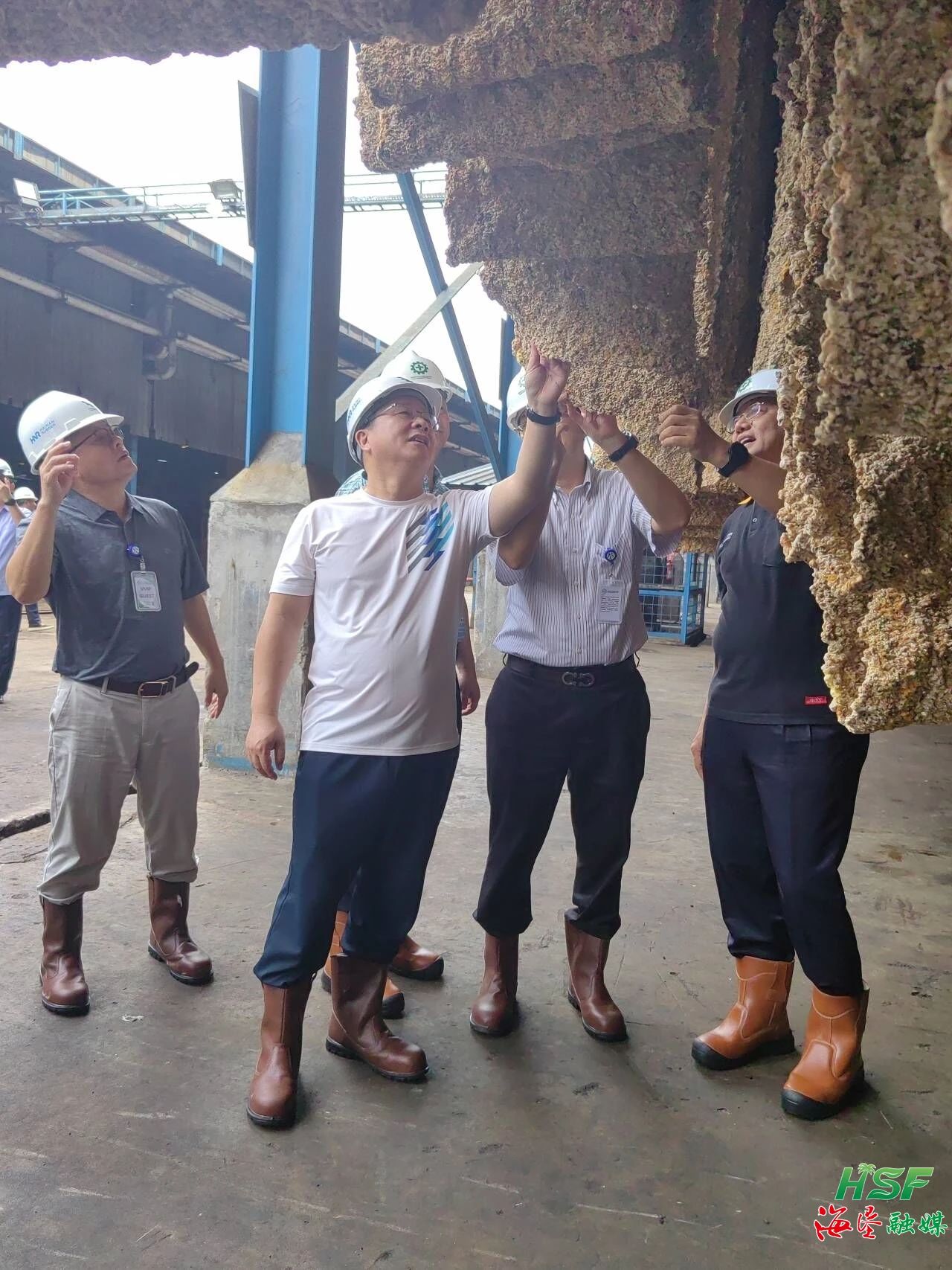 包洪文一行調(diào)研合盛農(nóng)業(yè)SGO加工廠。